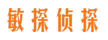 青海市私人侦探